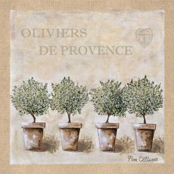 4 Pots d'olivier